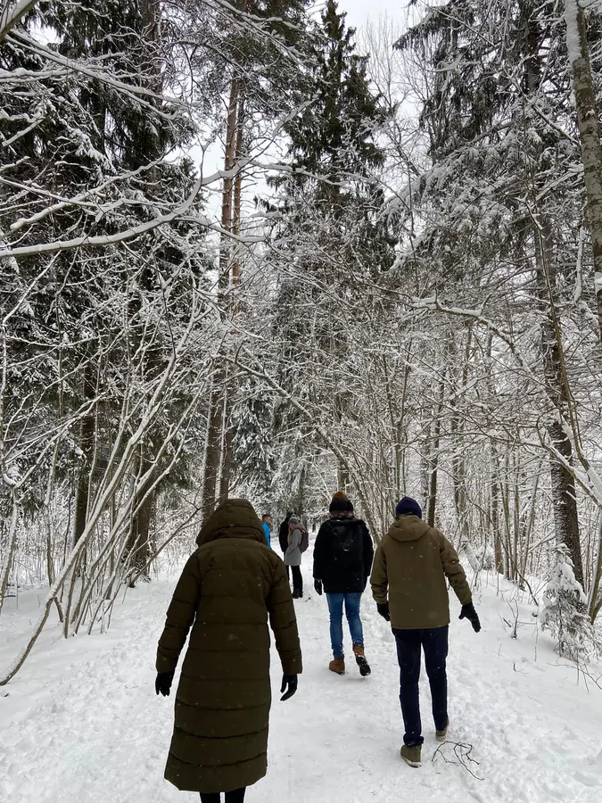 Latvian forest